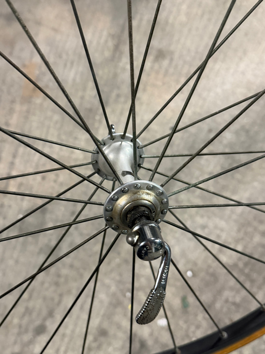 Front Road Wheel Campagnolo Hub 24inch Rim
