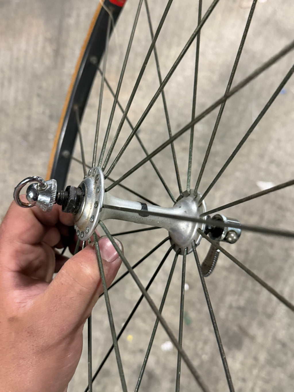 Front Road Wheel Campagnolo Hub 24inch Rim