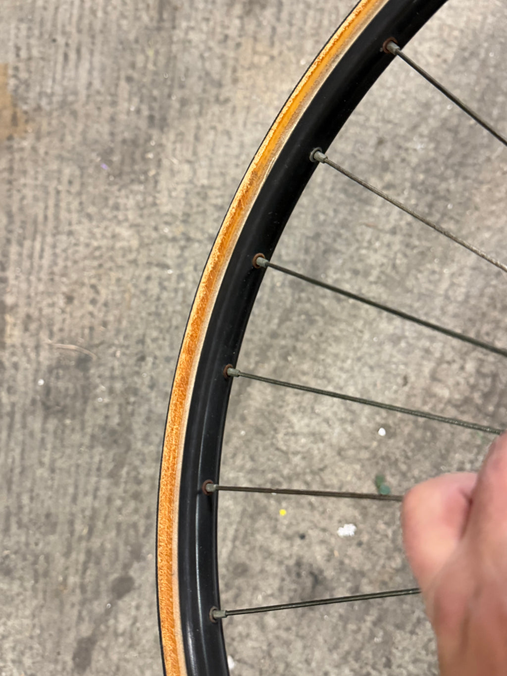Front Road Wheel Campagnolo Hub 24inch Rim