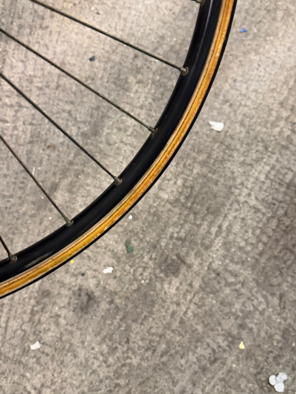 Front Road Wheel Campagnolo Hub 24inch Rim