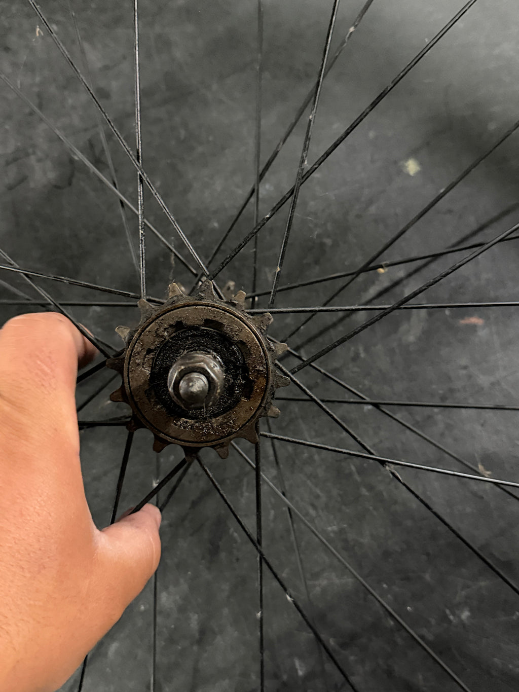 Single Speed Fixed Gear Wheelset Clincher