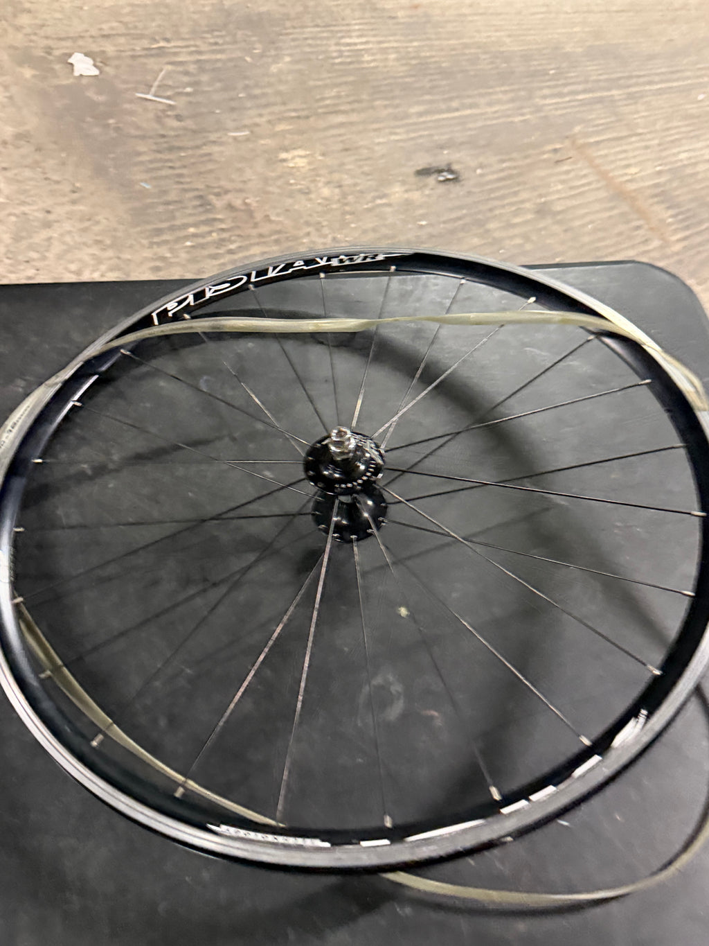 Miche Pistard Front Wheel Missing Spoke