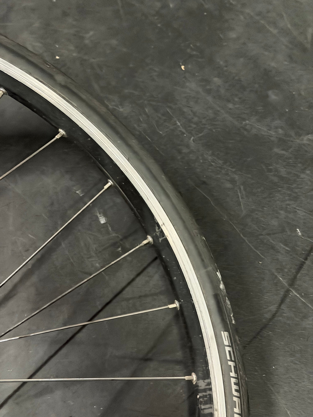 Goldtec Track Wheelset Clincher 700c