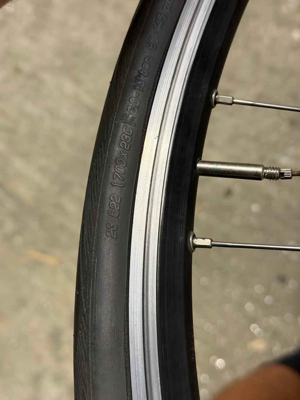 Goldtec Track Wheelset Clincher 700c