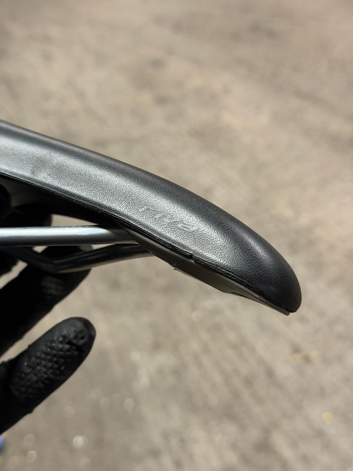 Specialized Riva Saddle
