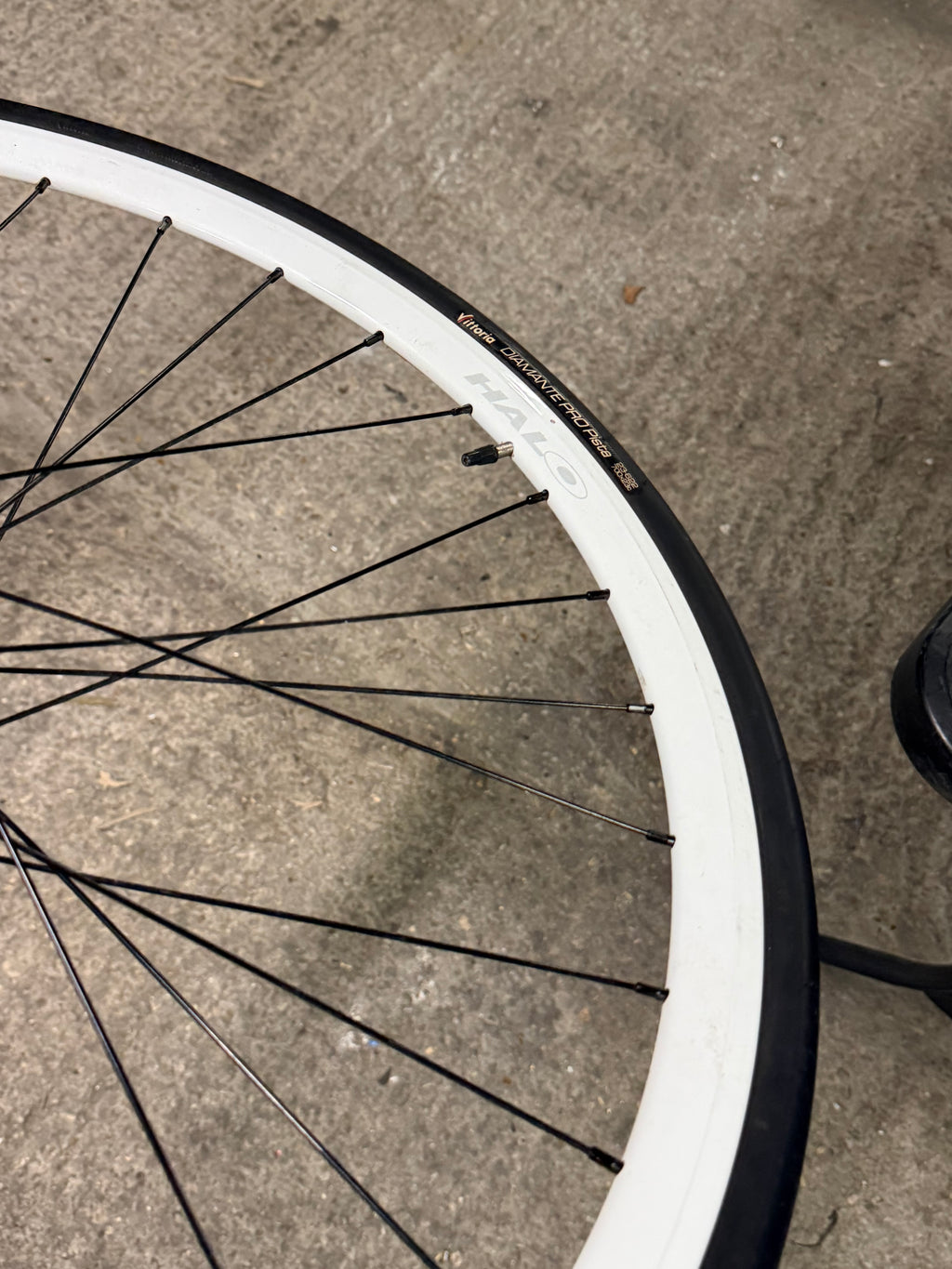 Halo AeroTrack Track Wheelset