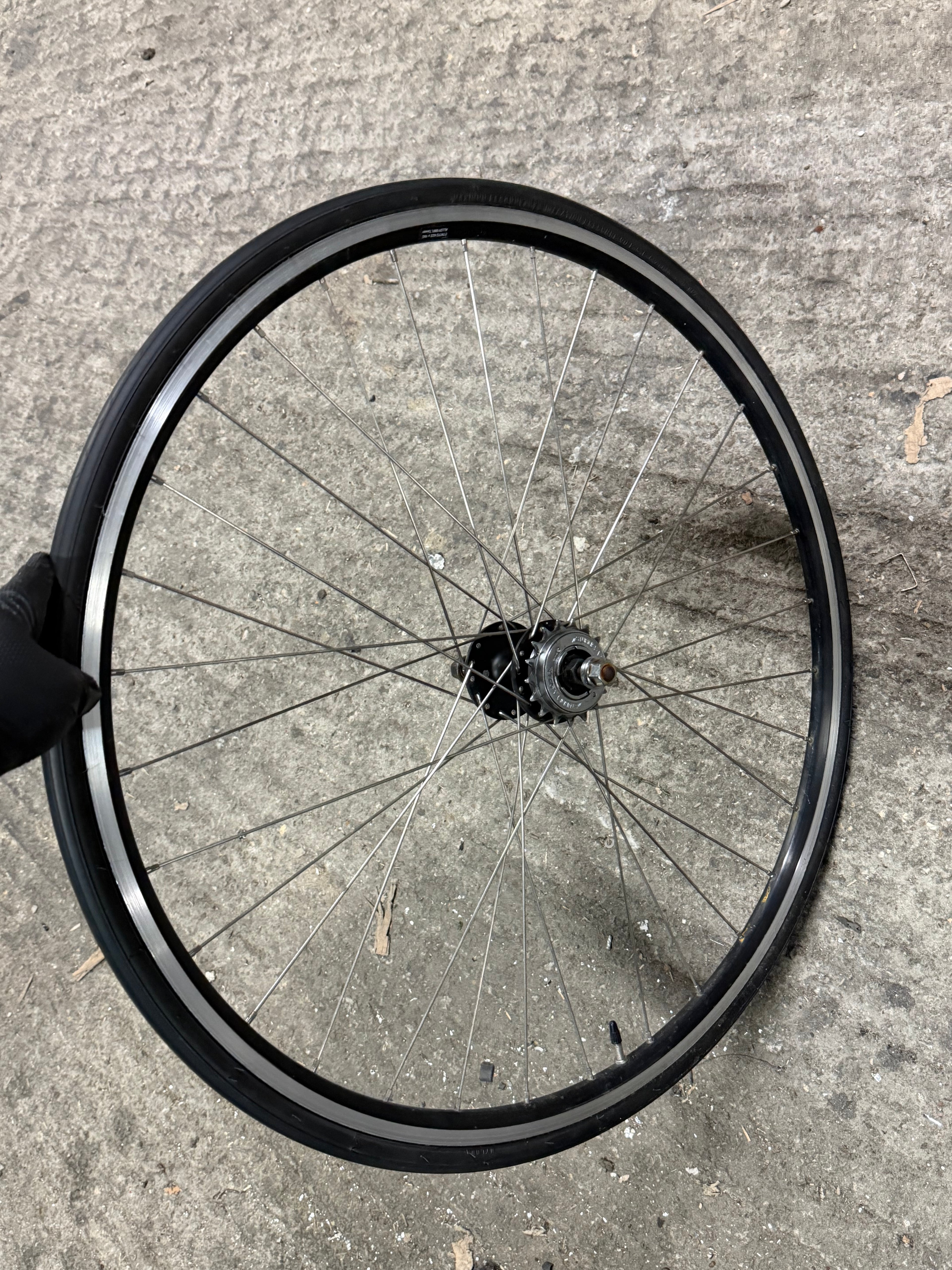Rear Track Singlespeed Wheel