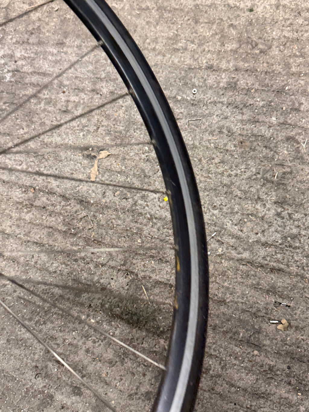 Rear Track Singlespeed Wheel