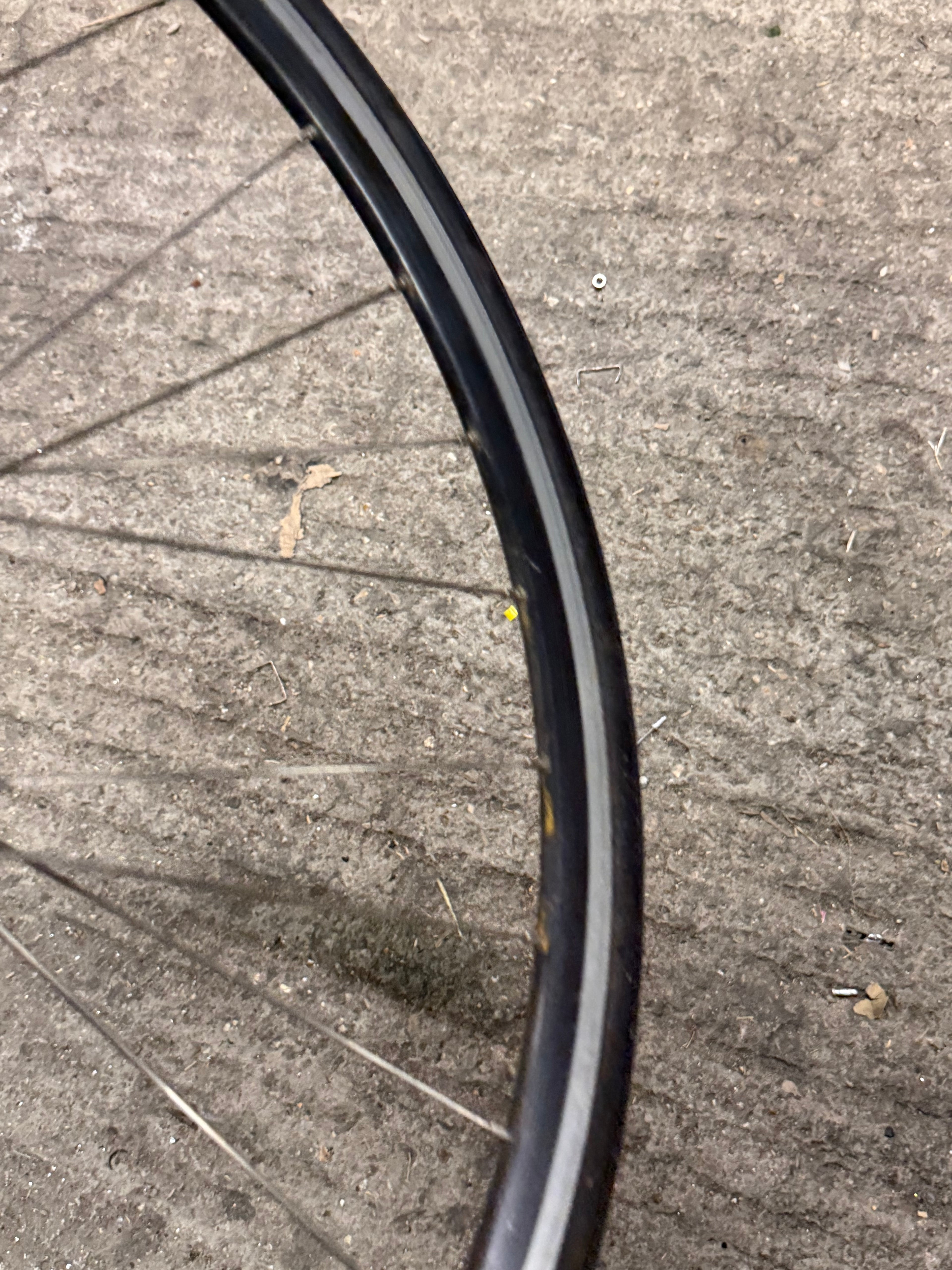 Rear Track Singlespeed Wheel