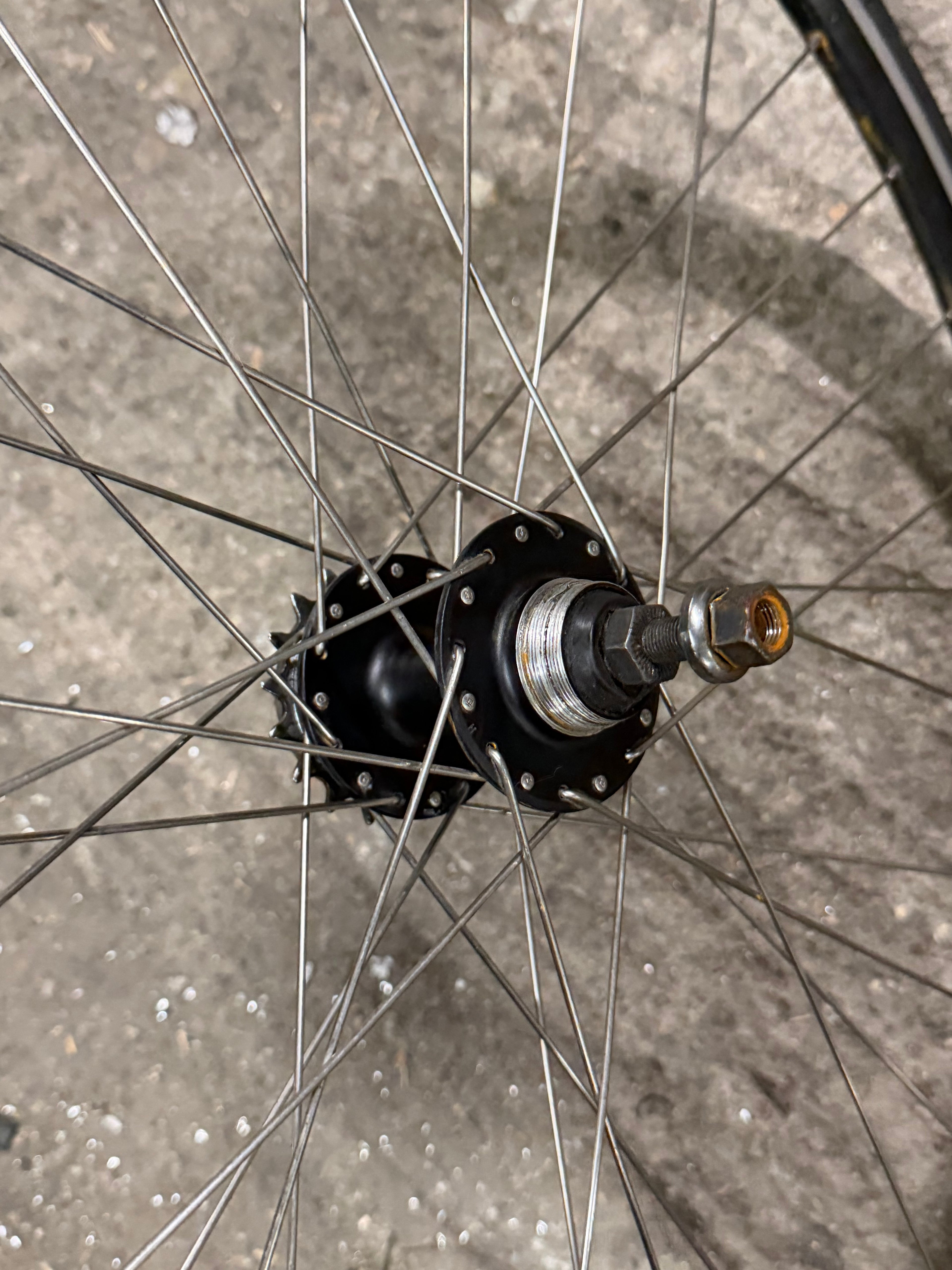 Rear Track Singlespeed Wheel