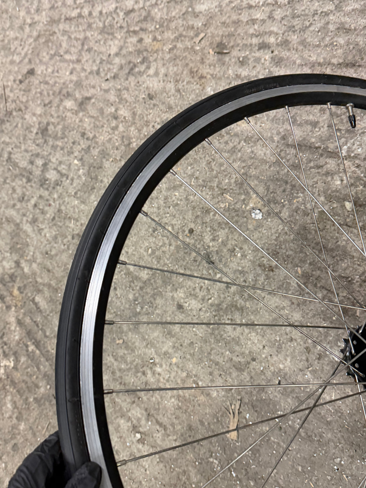 Rear Track Singlespeed Wheel