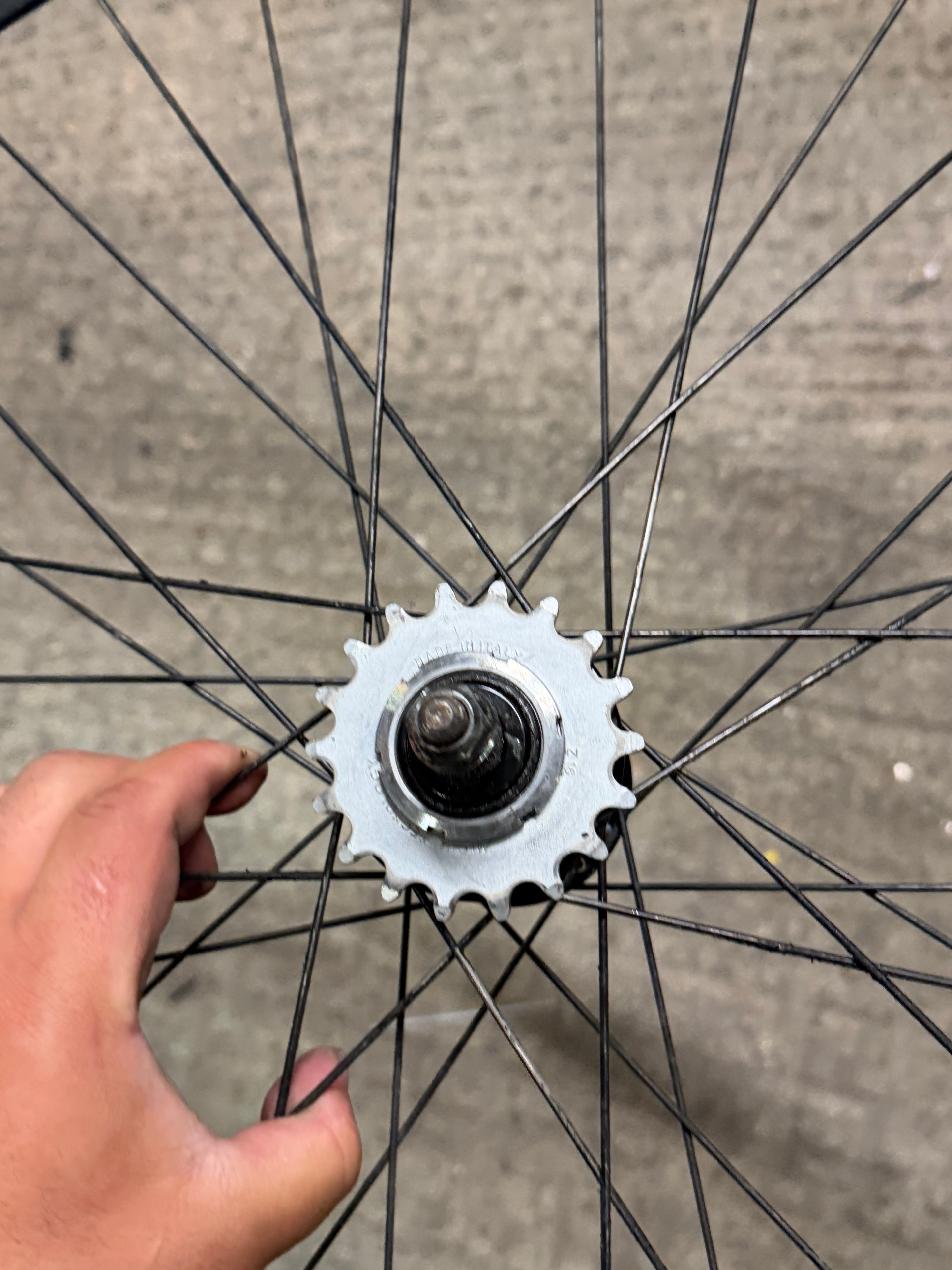 Miche XPress Single Speed Wheelset