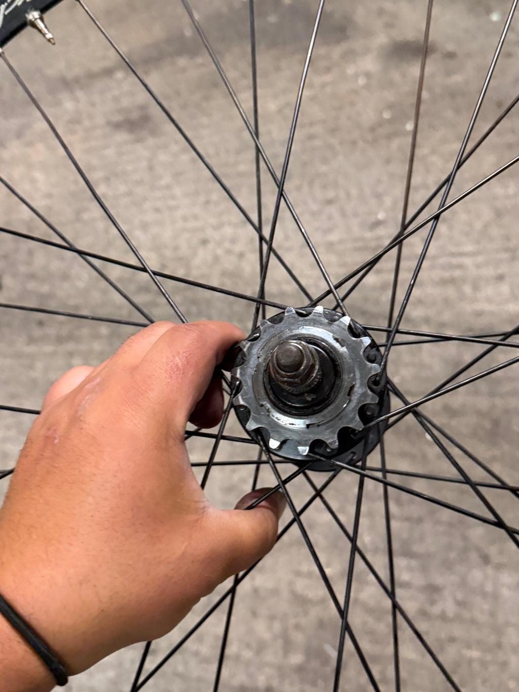 Miche Xpress Single Speed Wheelset
