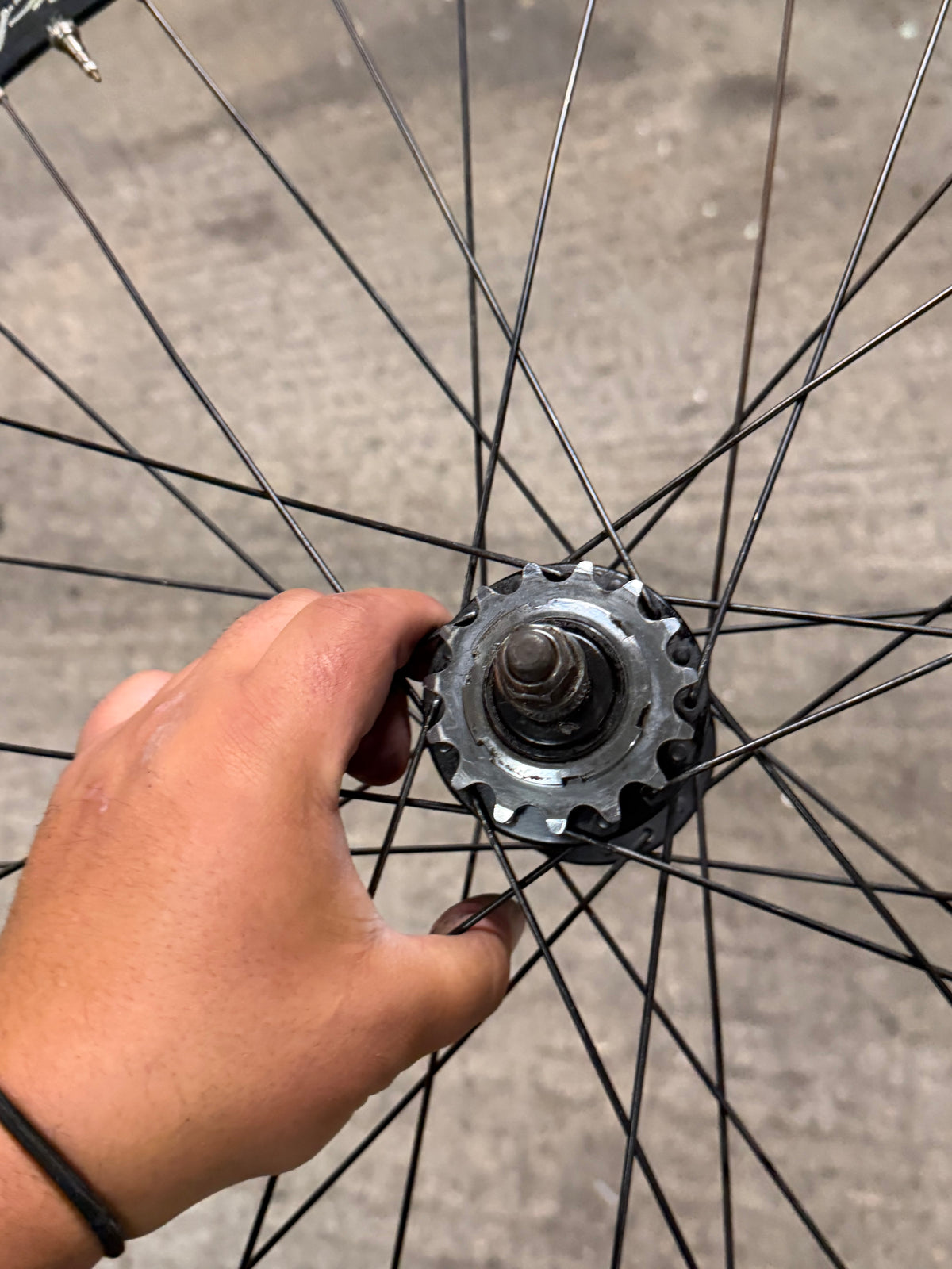 Miche Xpress Single Speed Wheelset