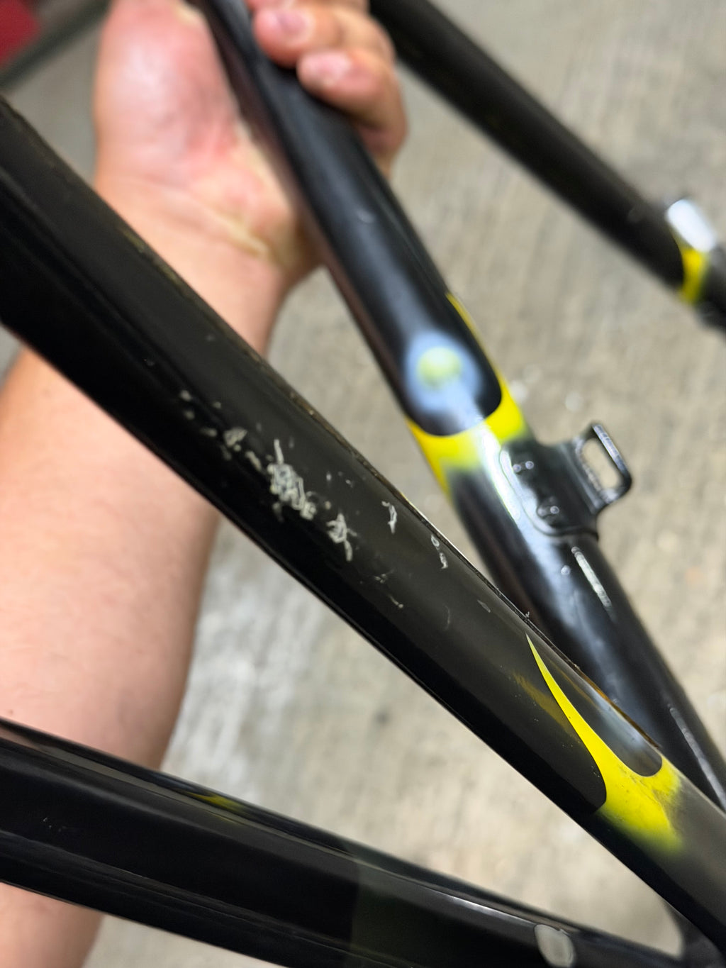 Colnago Road Frameset Size 53