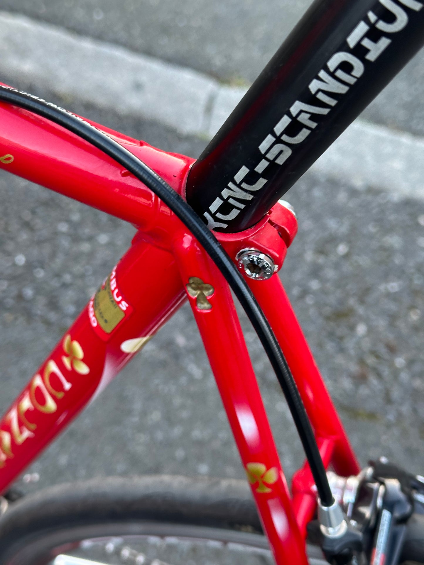 Colnago spiral conic slx size Medium road bike