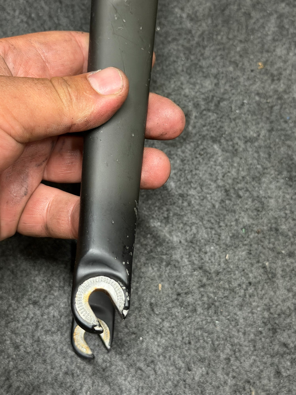 Alpina carbon Forks 1/8