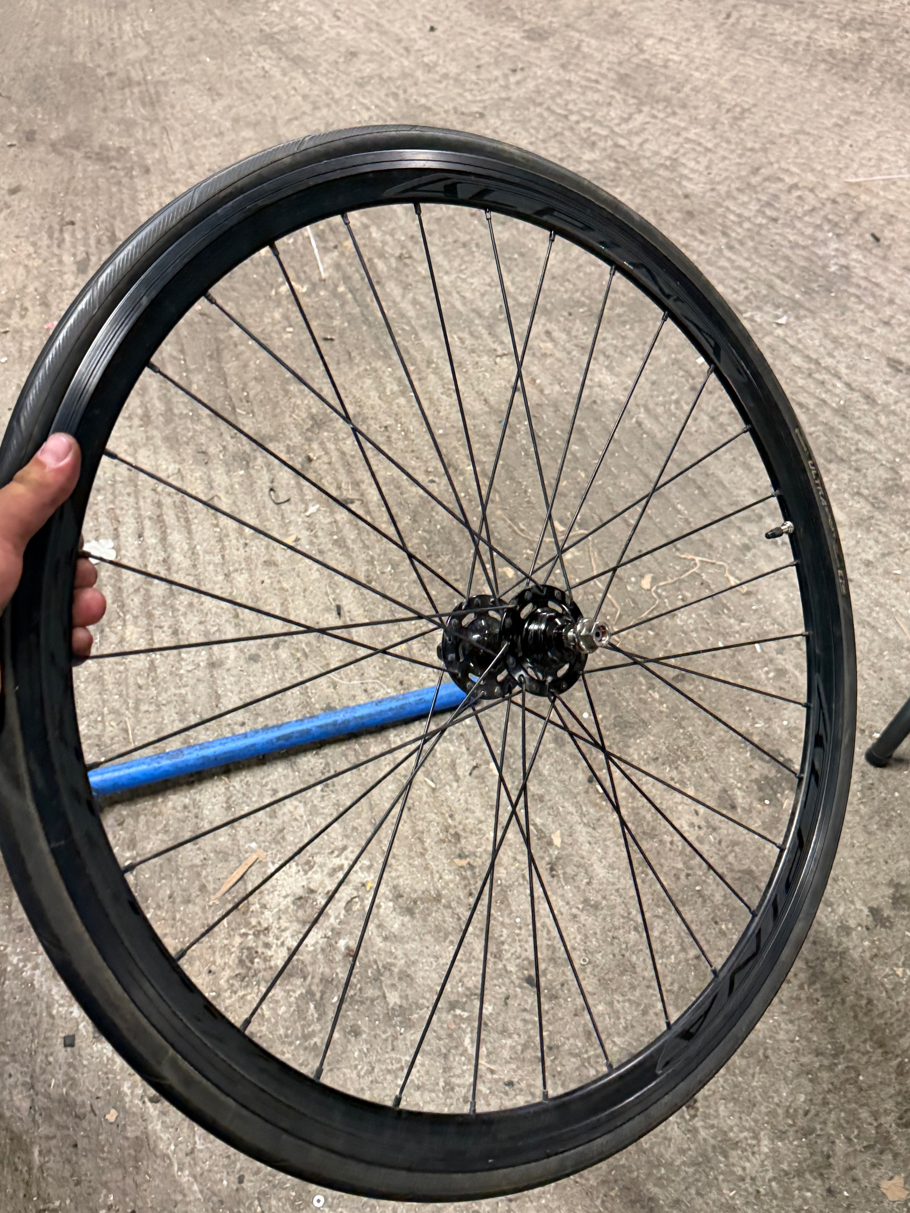 Alpina rear Wheel 700c for Spare