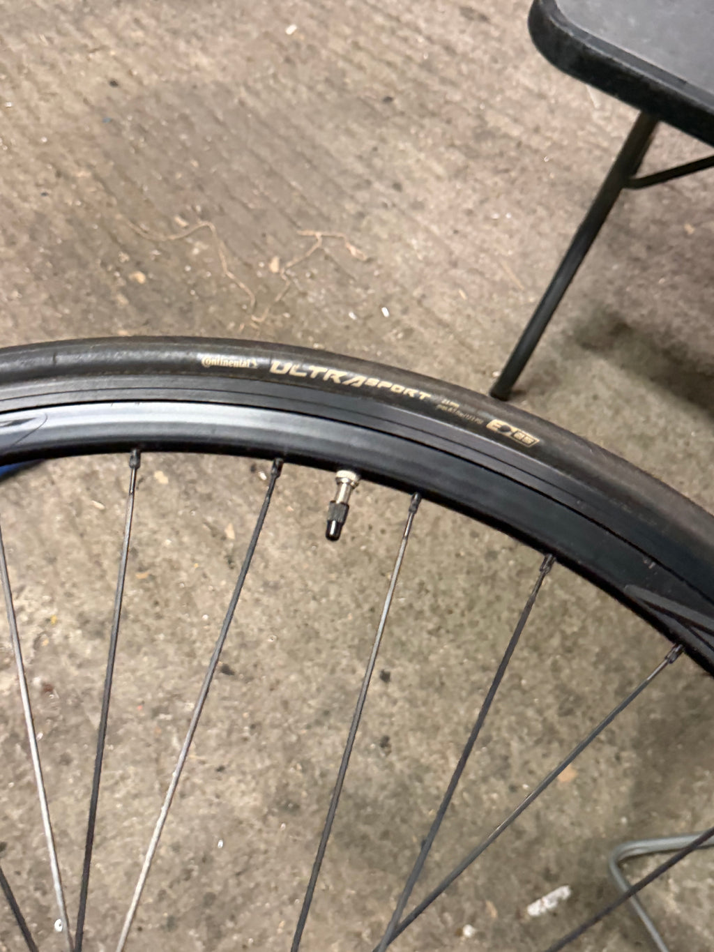 Alpina rear Wheel 700c for Spare