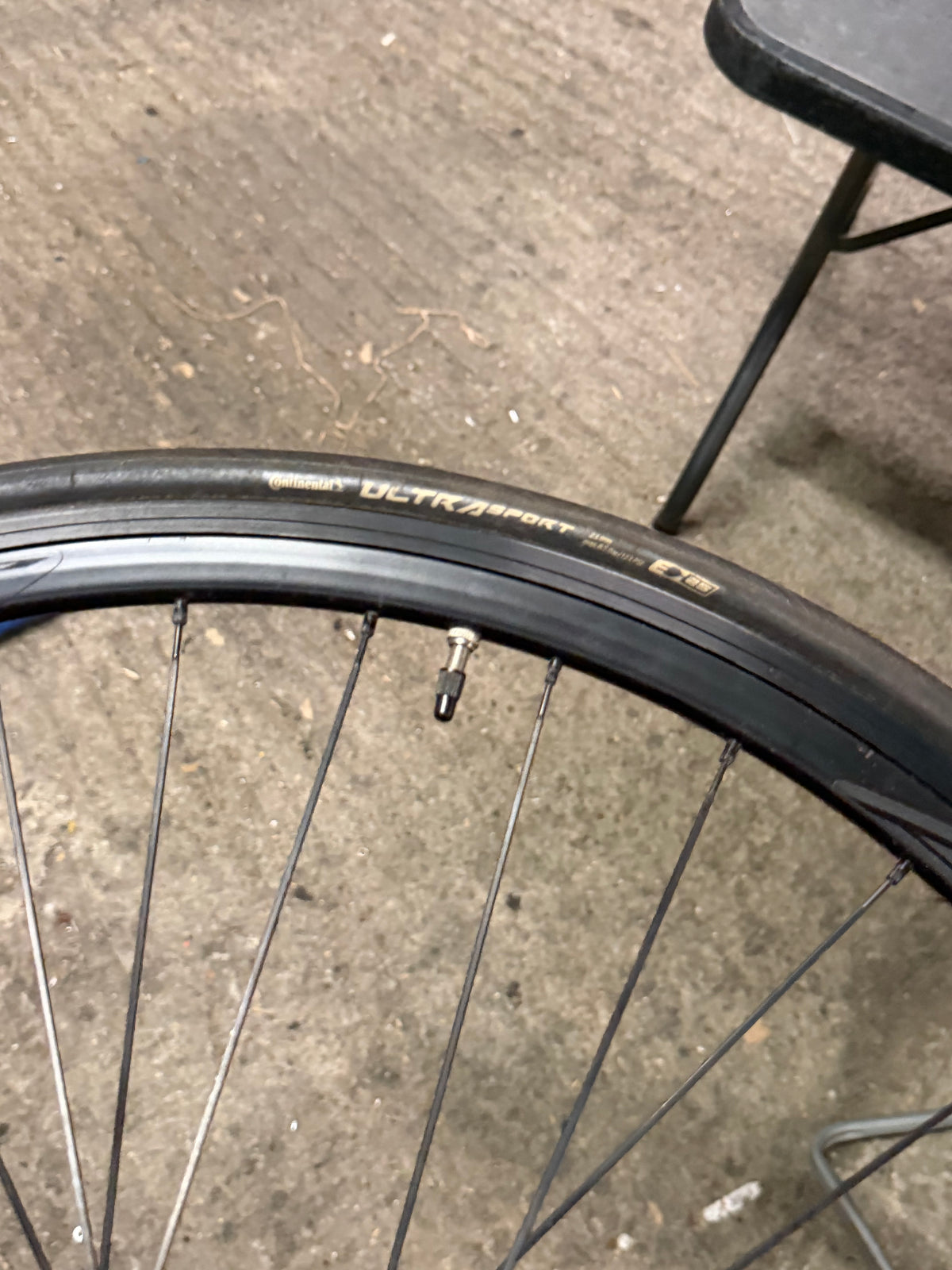 Alpina rear Wheel 700c for Spare
