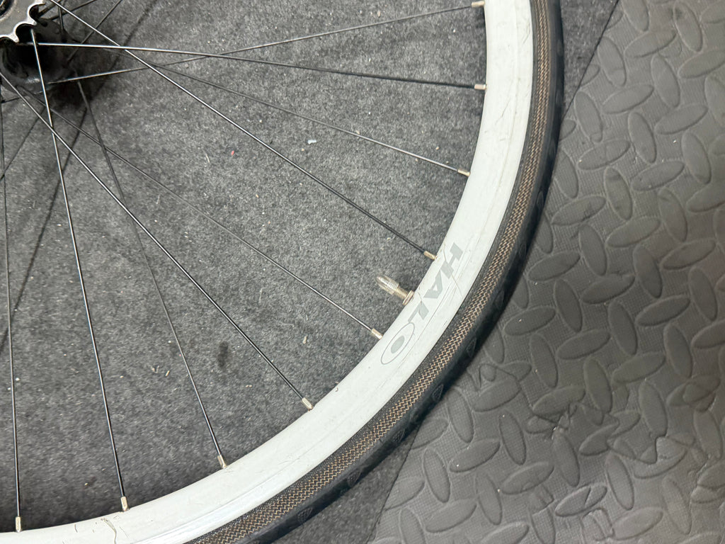 Halo Rear Track Fixed Gear Wheel 700c Clincher