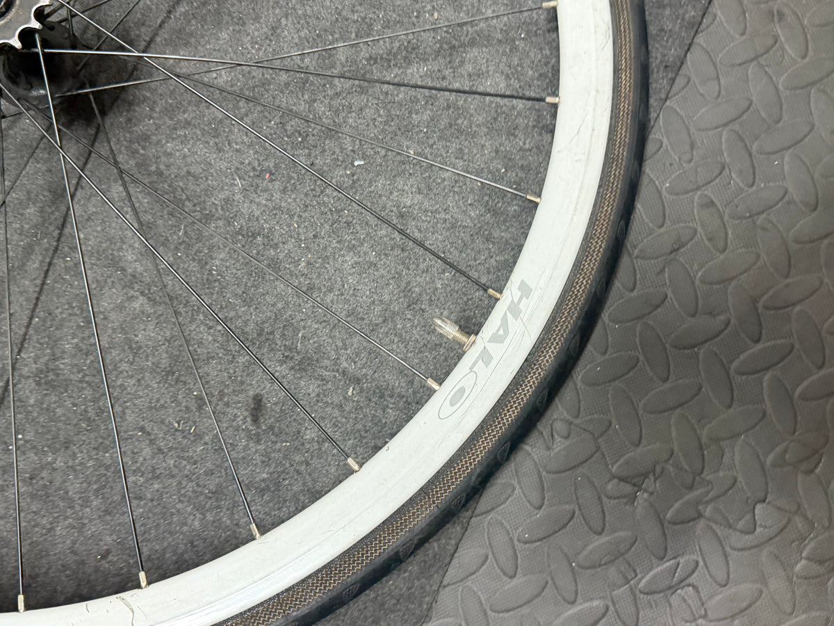 Halo Rear Track Fixed Gear Wheel 700c Clincher