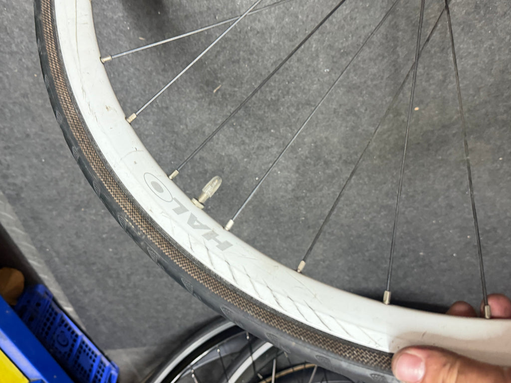 Halo Rear Track Fixed Gear Wheel 700c Clincher
