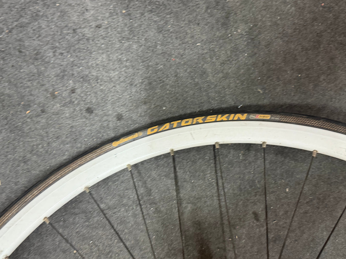 Halo Rear Track Fixed Gear Wheel 700c Clincher