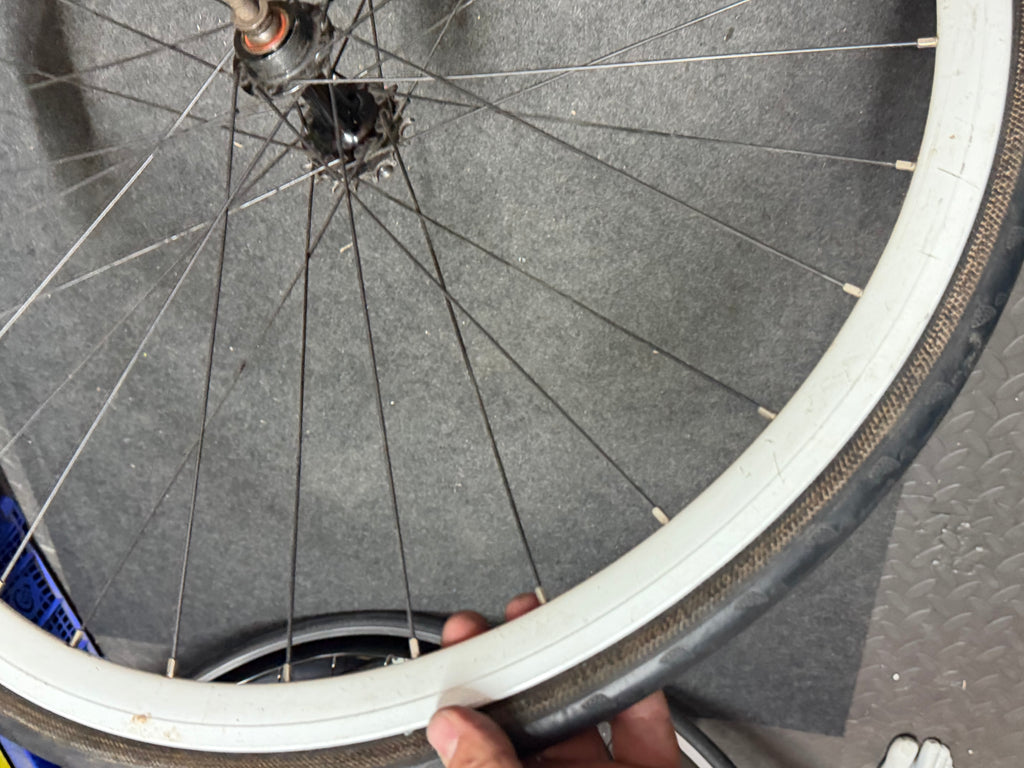 Halo Rear Track Fixed Gear Wheel 700c Clincher