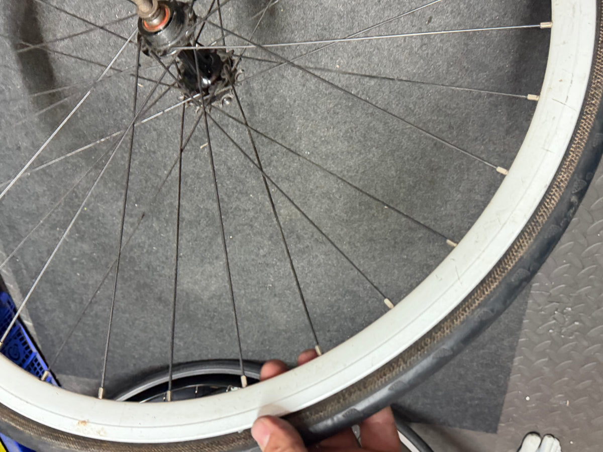 Halo Rear Track Fixed Gear Wheel 700c Clincher