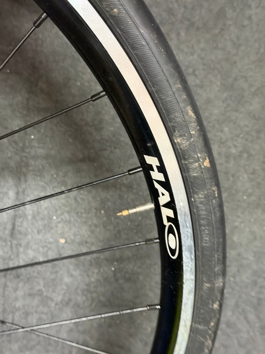 Halo AeroRage Rear Track Fixed Gear Wheel 700c