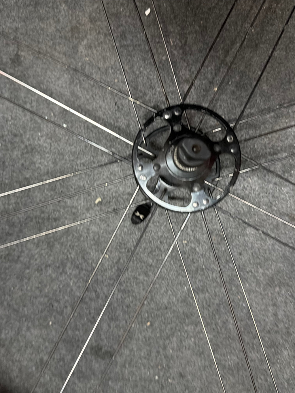 Campagnolo Reaction G3 Front Wheel 700c