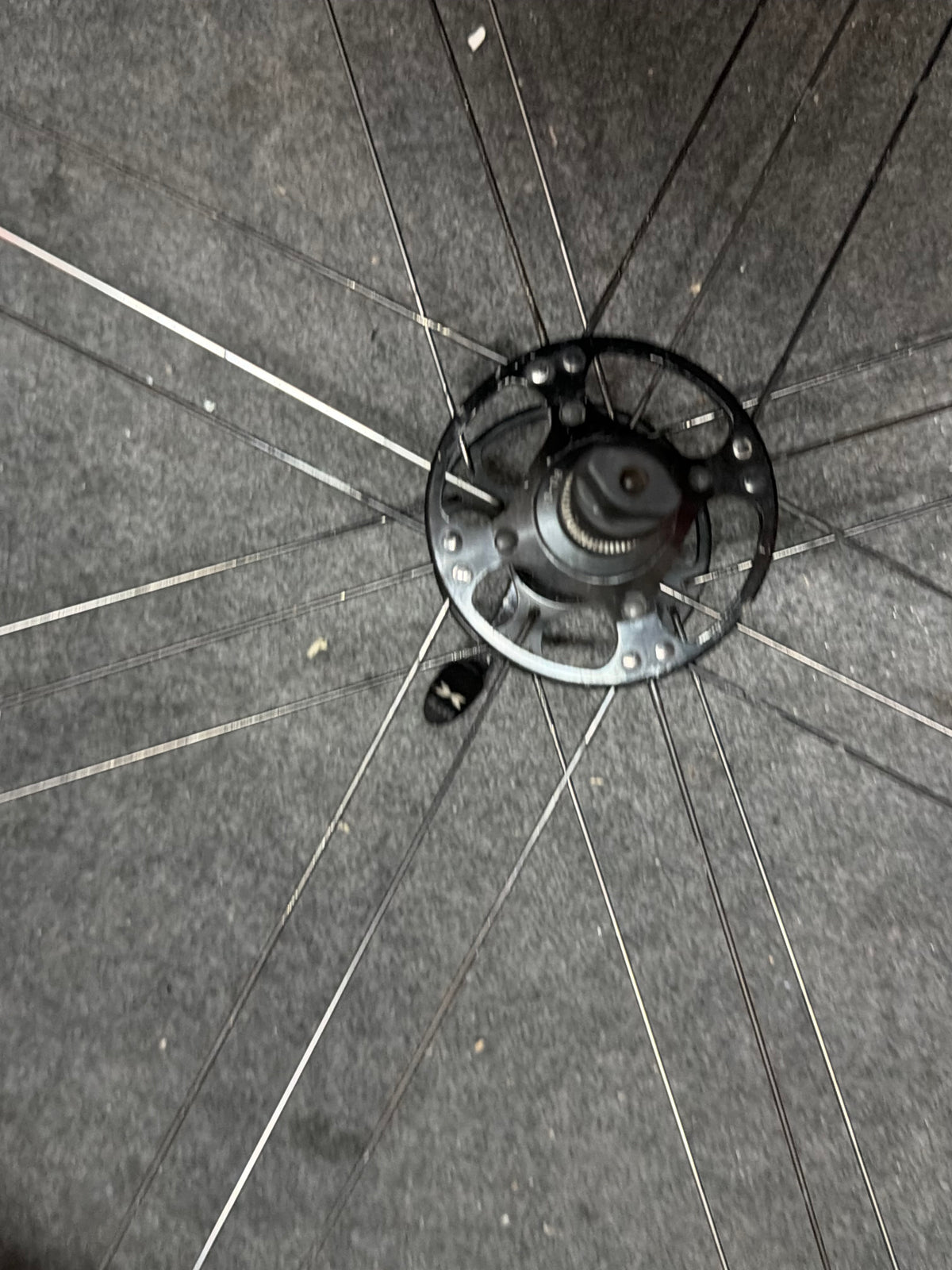 Campagnolo Reaction G3 Front Wheel 700c