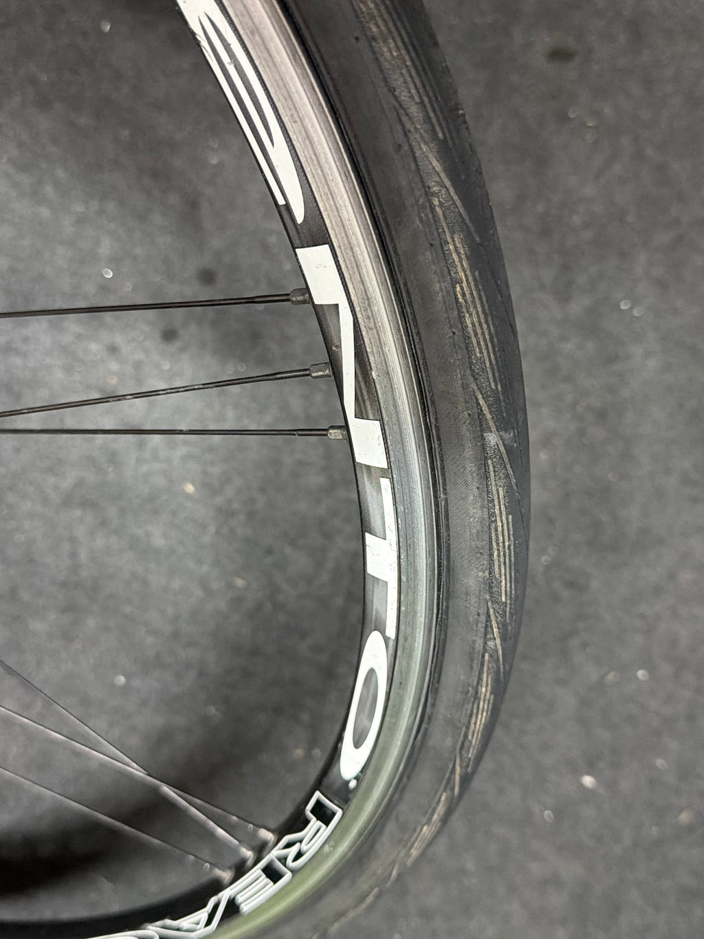 Campagnolo Reaction G3 Front Wheel 700c
