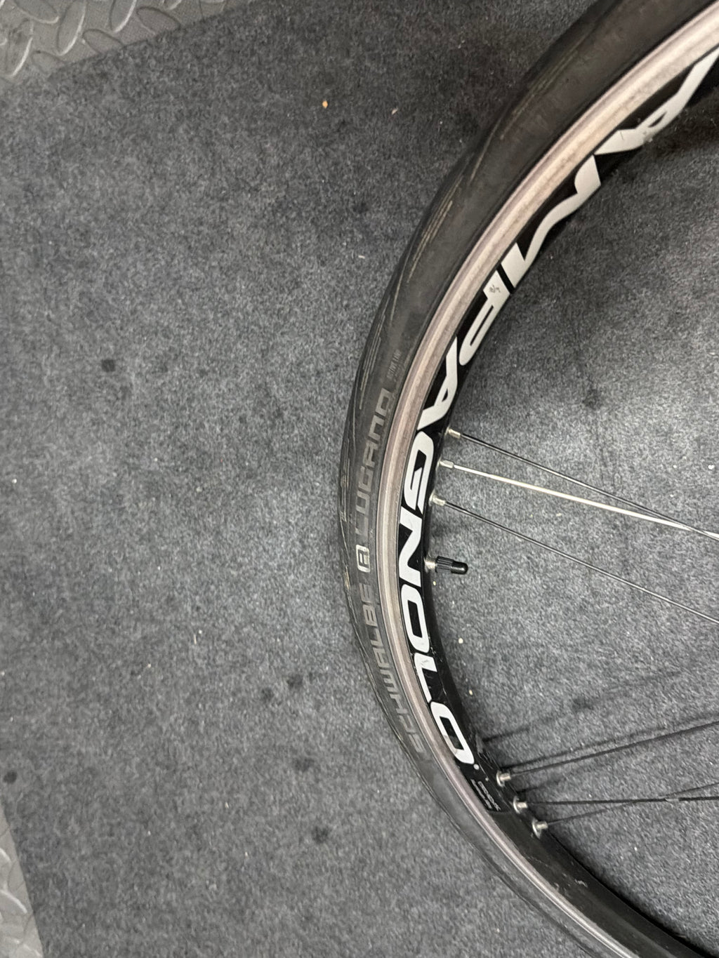Campagnolo Reaction G3 Front Wheel 700c