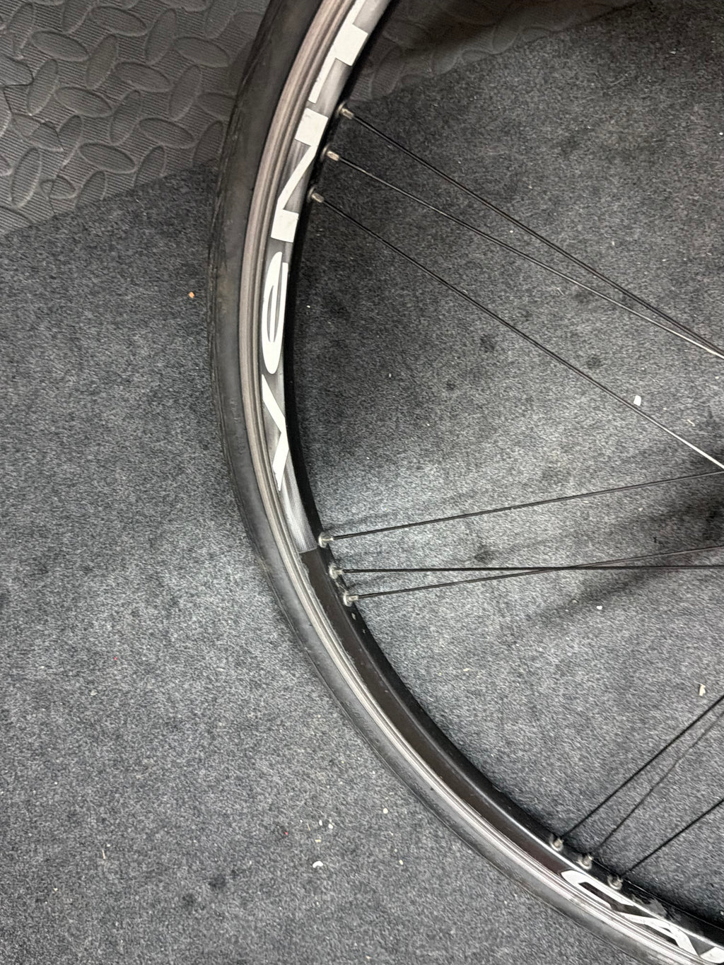 Campagnolo Reaction G3 Front Wheel 700c