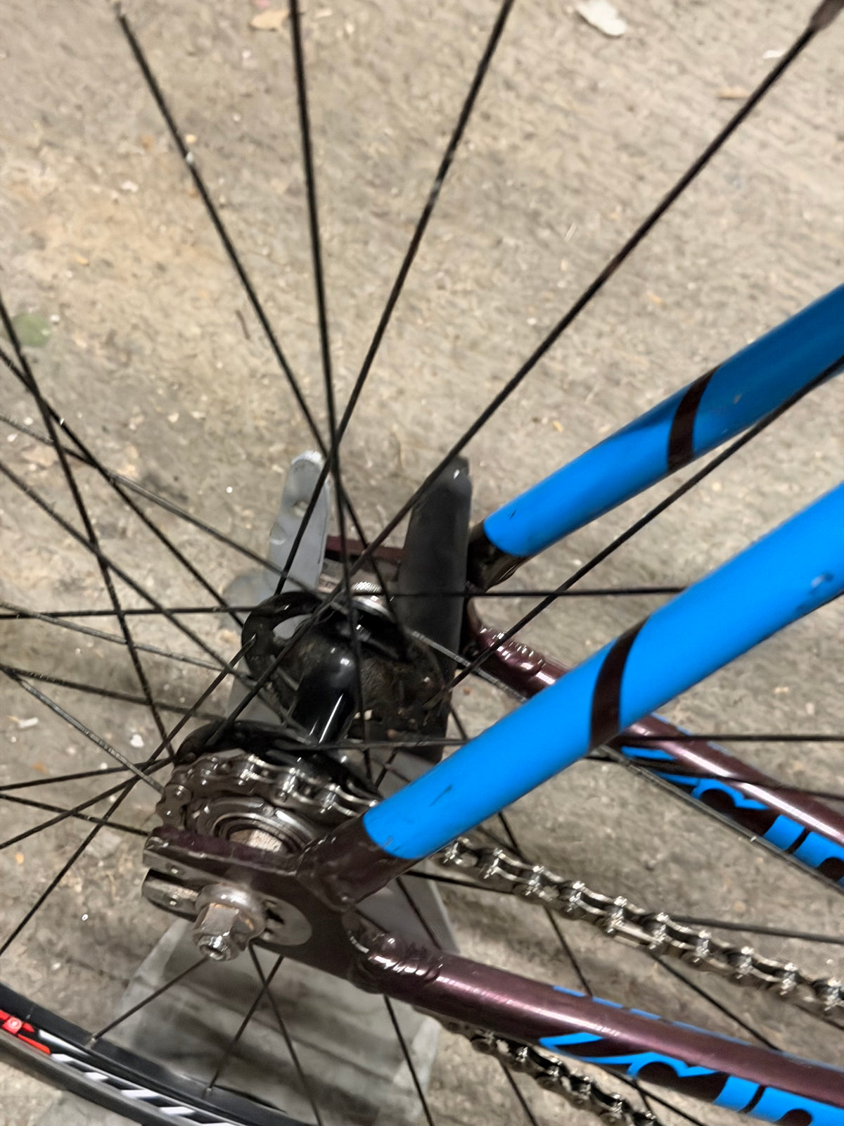 Cinelli Tipo Pista Track Bikes Large