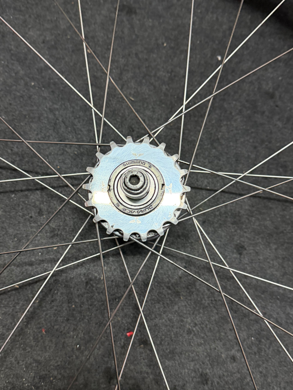 Goldtec Track Wheelset 700c Clincher