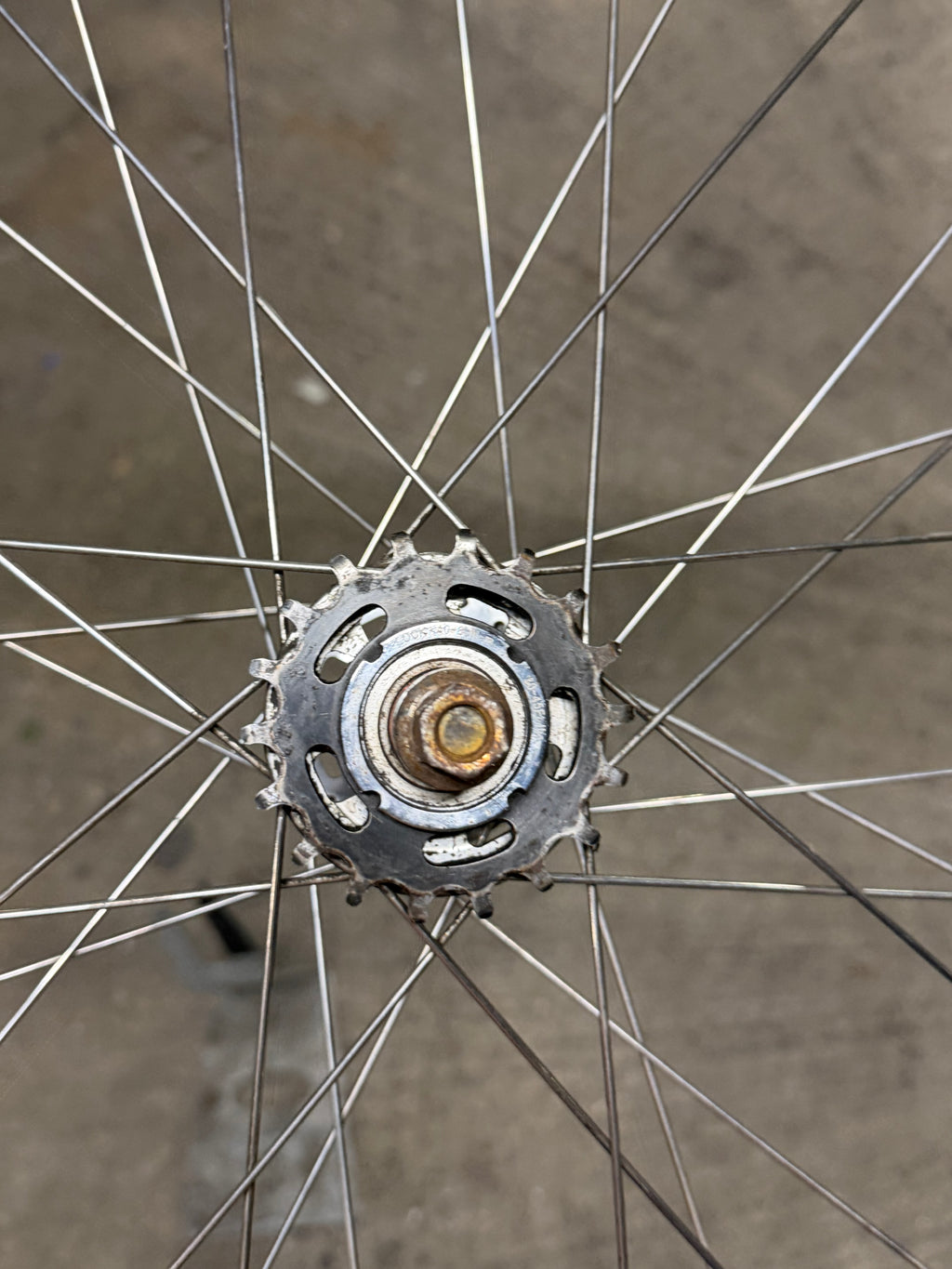 BLB Rear Track Wheel H Plus Son Rim