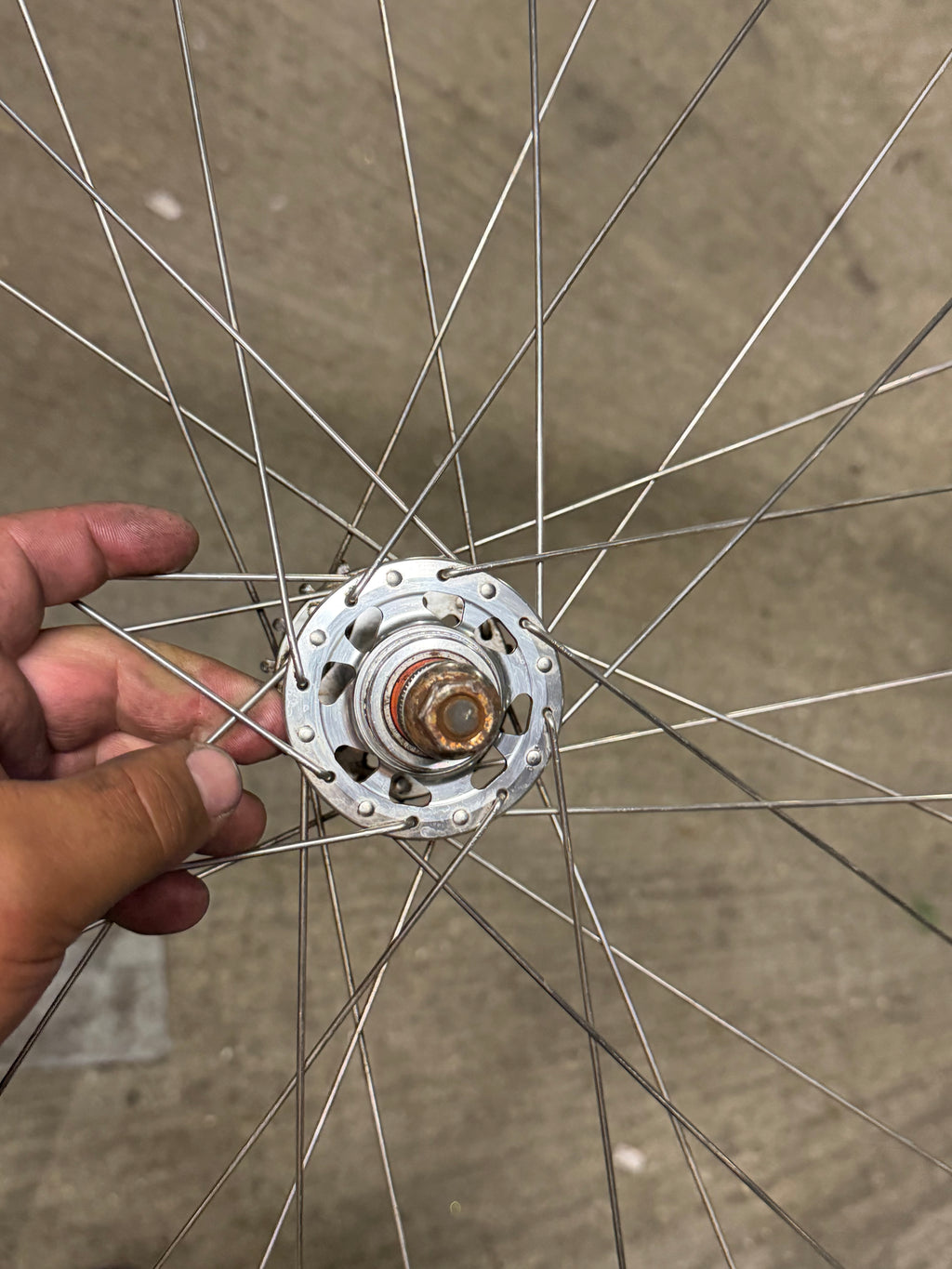 BLB Rear Track Wheel H Plus Son Rim