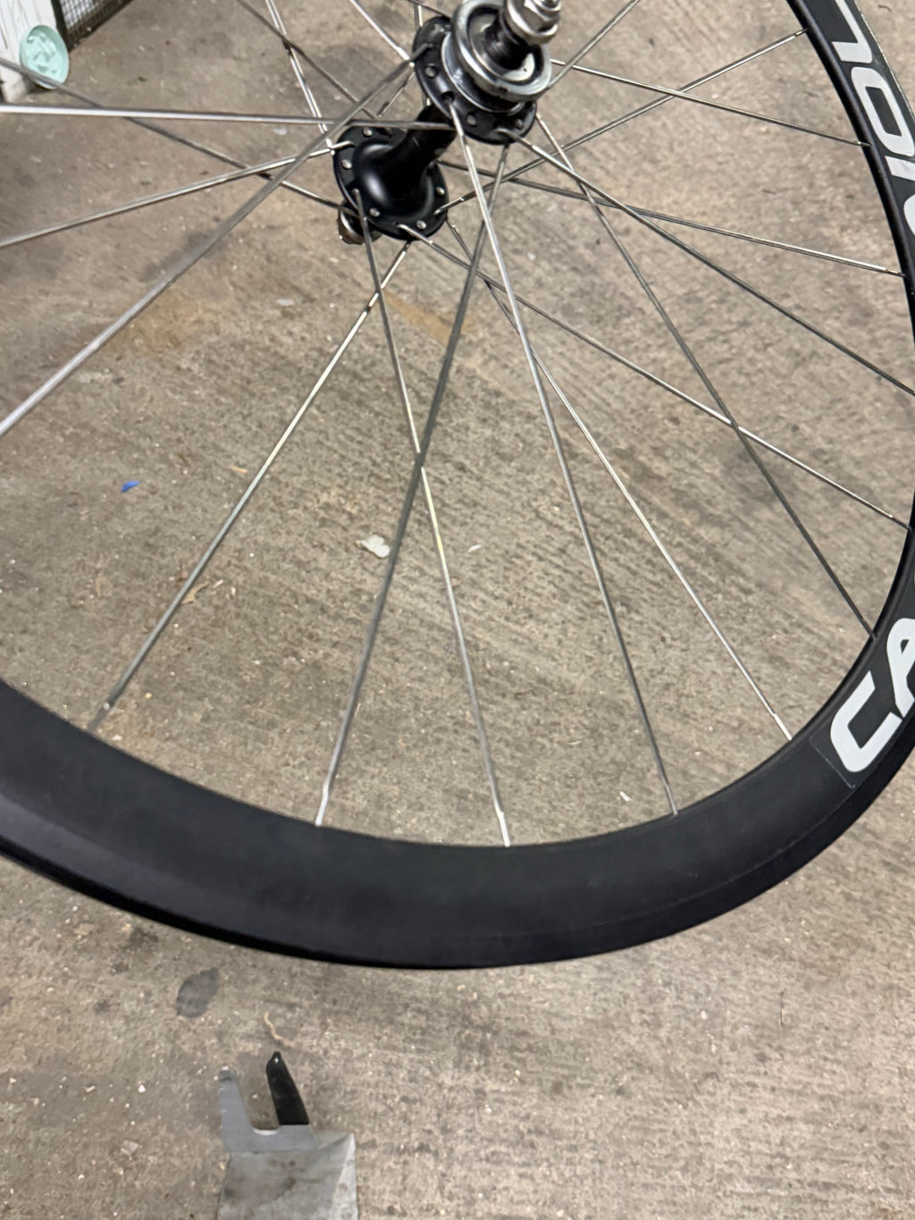 Campagnolo Pista Tubular Rear Wheel