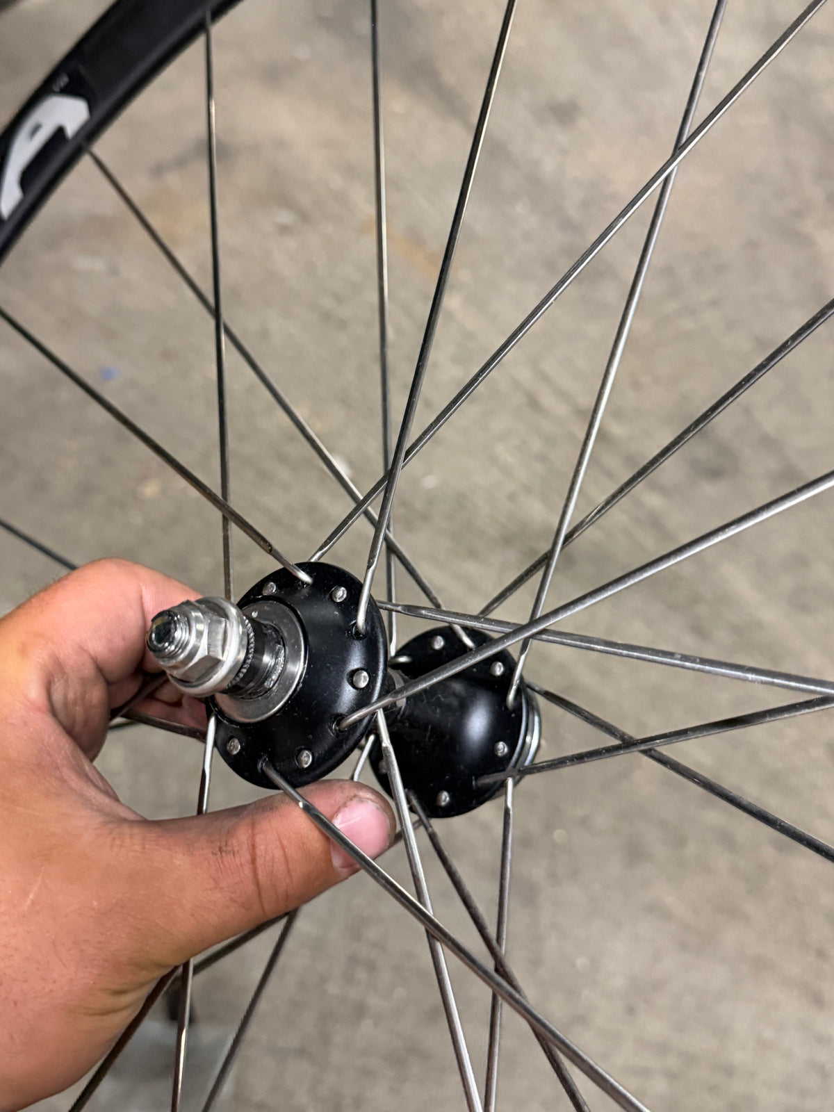 Campagnolo Pista Tubular Rear Wheel