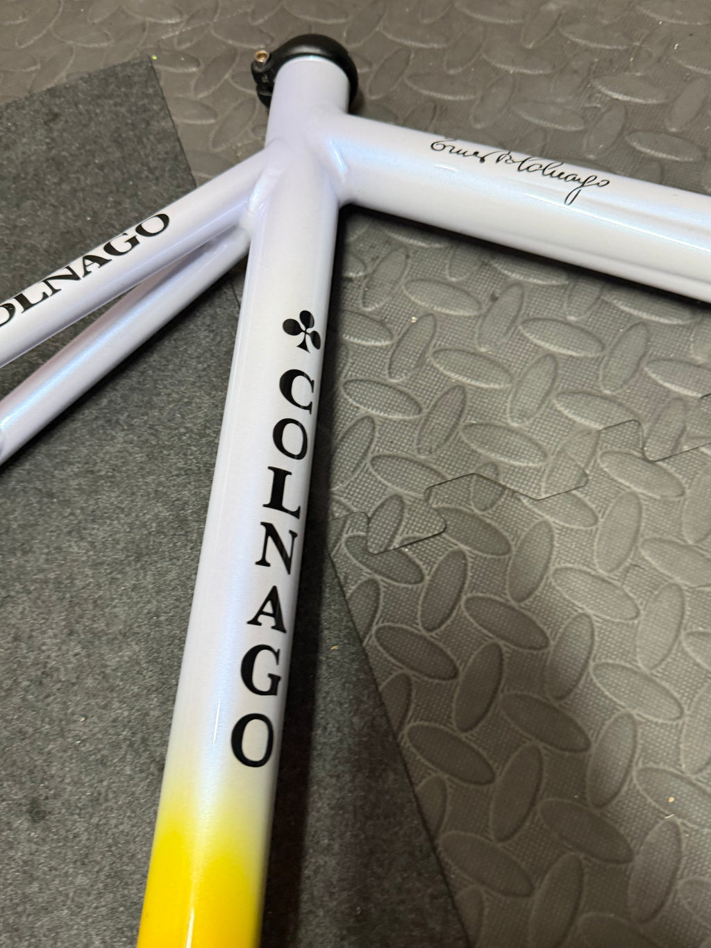 Colnago Dream Aluminium Pista Track Frameset Large Mapei
