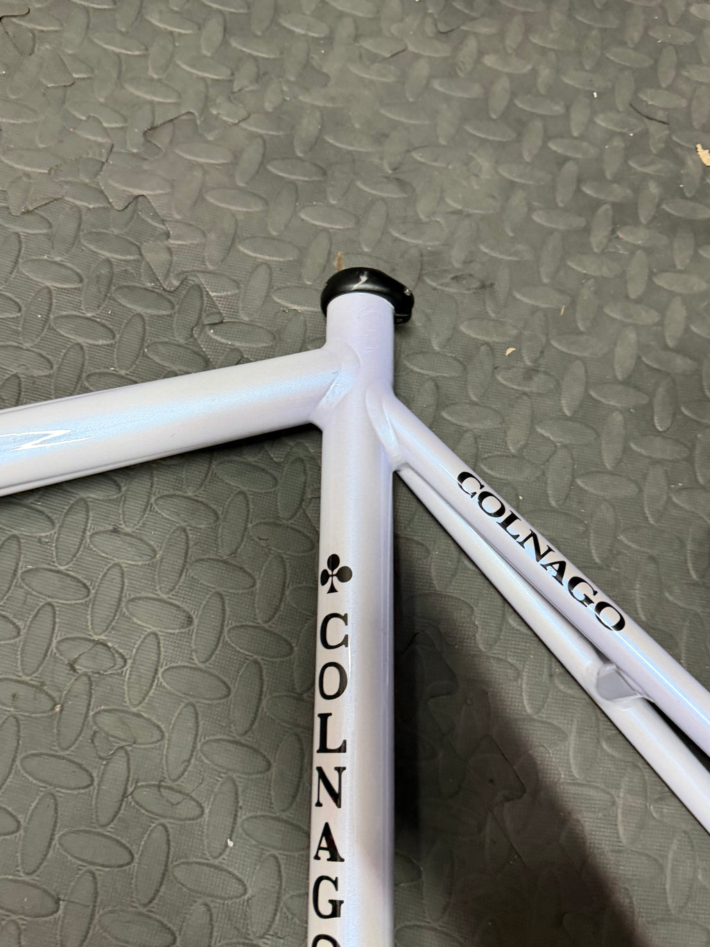 Colnago Dream Aluminium Pista Track Frameset Large Mapei