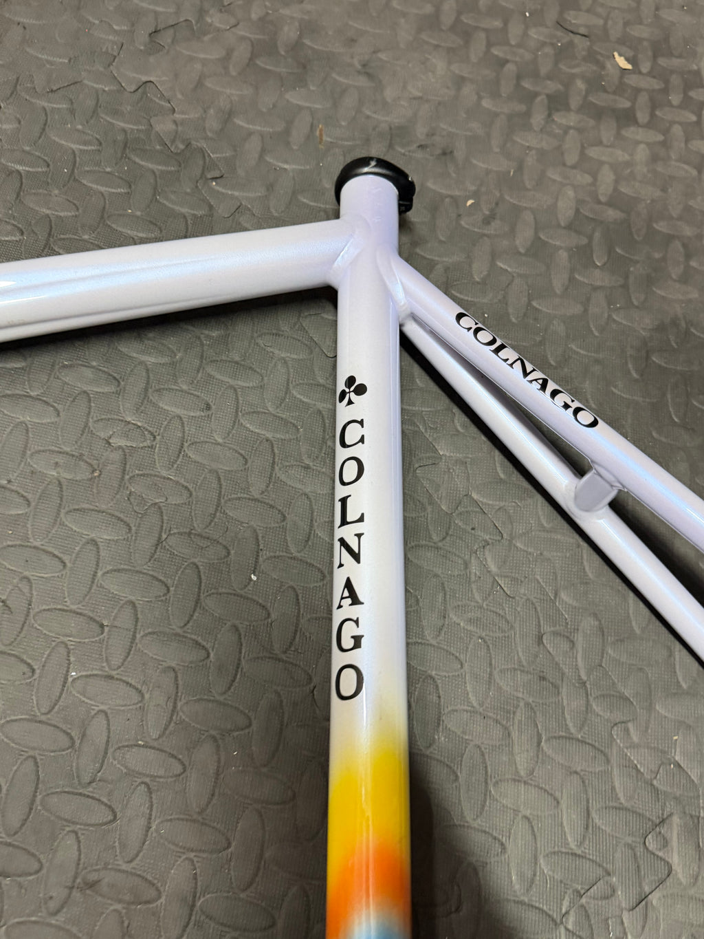 Colnago Dream Aluminium Pista Track Frameset Large Mapei
