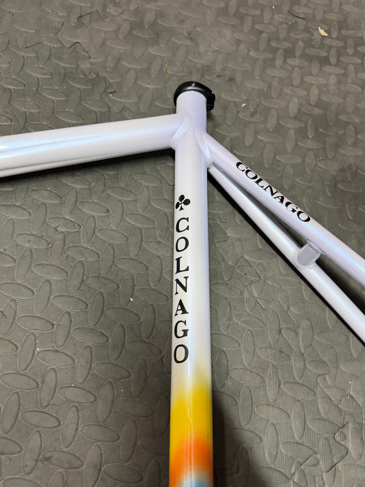 Colnago Dream Aluminium Pista Track Frameset Large Mapei