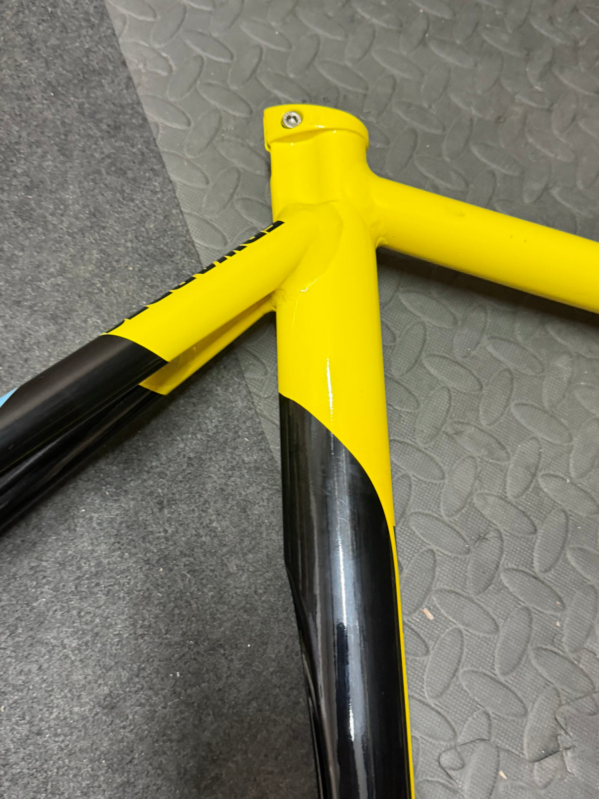 Edwardes Track Frameset Fixed Gear Small