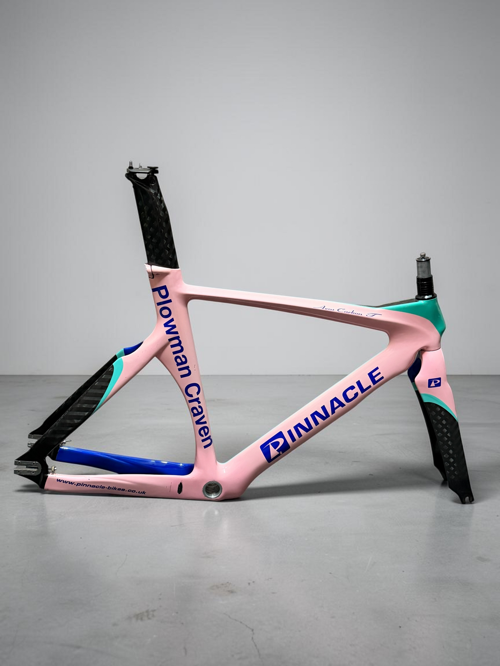 Pinnacle Carbon Track Frameset Evans Custom Size 57