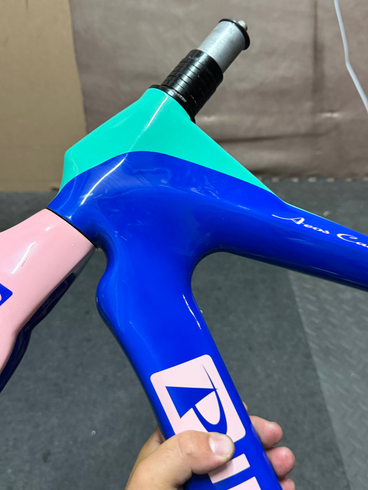 Pinnacle Carbon Track Frameset Evans Custom Size 57