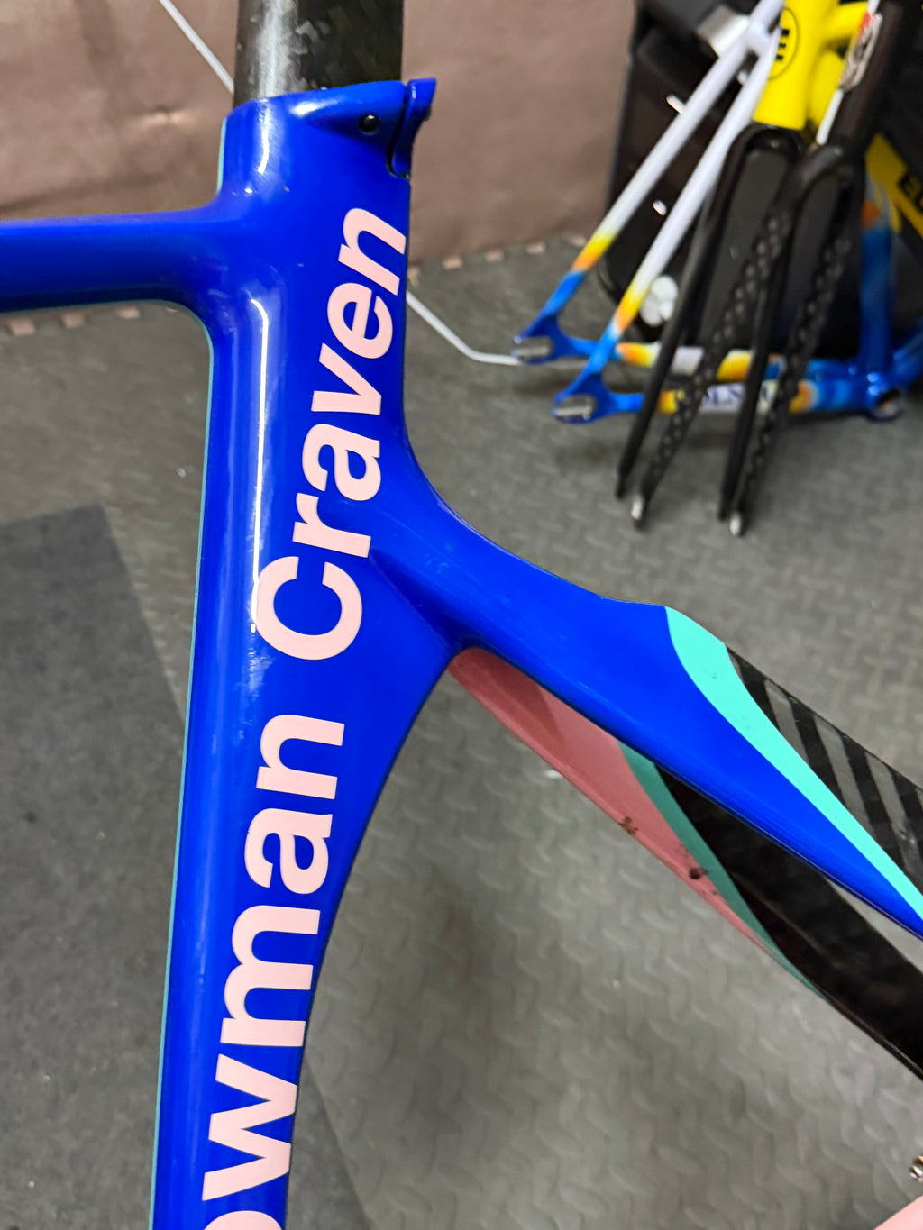 Pinnacle Carbon Track Frameset Evans Custom Size 57